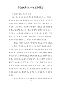 市公安局2025年工作计划