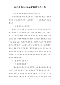 市公安局2025年度普法工作计划