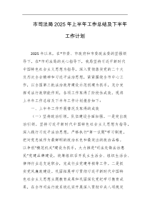 市司法局2025年上半年工作总结及下半年工作计划