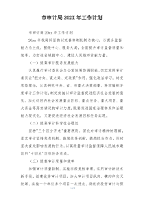 市审计局202X年工作计划