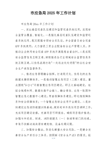 市应急局2025年工作计划