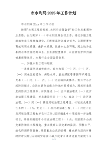 市水利局2025年工作计划