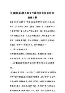 乡镇（街道）领导班子年度民主生活会对照检查材料