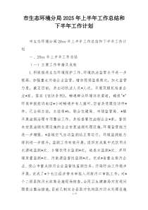 市生态环境分局2025年上半年工作总结和下半年工作计划