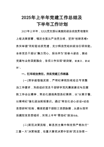 开展2025年上半年党建工作总结及下半年工作计划（汇编5份）