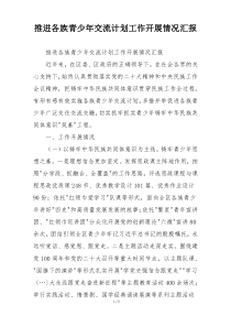 推进各族青少年交流计划工作开展情况汇报