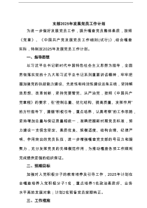 支部2025年发展党员工作计划（精选7篇）