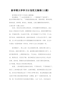 新学期大学学习计划范文集锦（13篇）