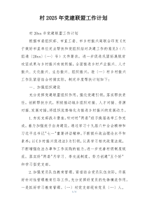 村2025年党建联盟工作计划