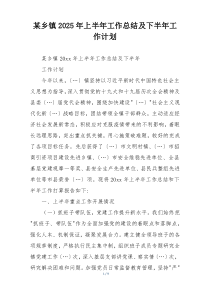 某乡镇2025年上半年工作总结及下半年工作计划