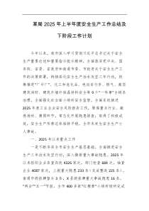 某局2025年上半年度安全生产工作总结及下阶段工作计划