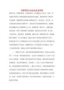 市领导民主生活会发言材料