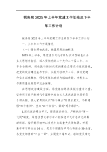 税务局2025年上半年党建工作总结及下半年工作计划