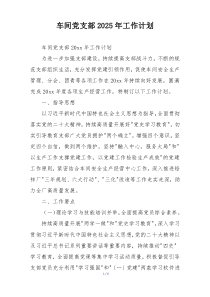 车间党支部2025年工作计划