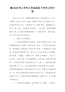 镇2025年上半年工作总结及下半年工作计划