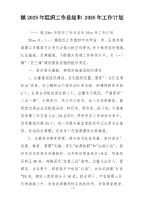 镇2025年组织工作总结和 2025年工作计划