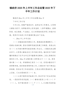 镇政府2025年上半年工作总结暨2025年下半年工作计划