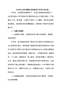 （6篇）2025年上半年党建工作总结及下半年工作计划（合集）