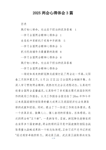 2025两会心得体会3篇