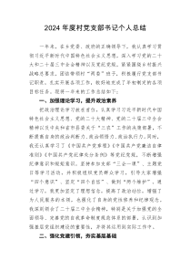 2024年度村党支部书记个人总结