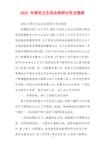 2025 年度民主生活会前研讨发言提纲