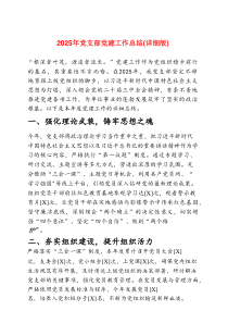 2025 年党支部党建工作总结（详细版）