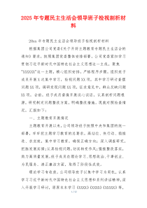 2025年专题民主生活会领导班子检视剖析材料