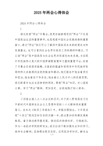 2025年两会心得体会