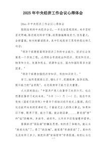 2025年中央经济工作会议心得体会