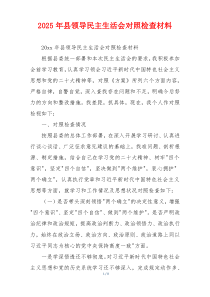 2025年县领导民主生活会对照检查材料