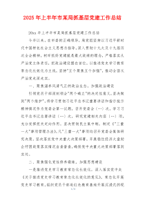 2025年上半年市某局抓基层党建工作总结