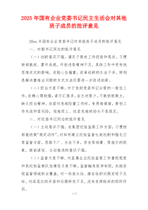 2025年国有企业党委书记民主生活会对其他班子成员的批评意见