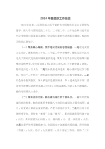 2024年县组织工作总结