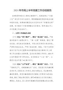 2024年市局上半年党建工作总结报告