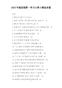2025年基层视野·学习心得3精选多篇