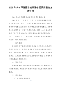 2025年农村环境整治成效评估反馈问整改方案详情