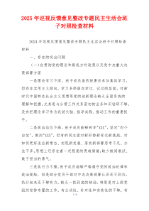 2025年巡视反馈意见整改专题民主生活会班子对照检查材料