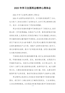 2025年学习全国两会精神心得体会