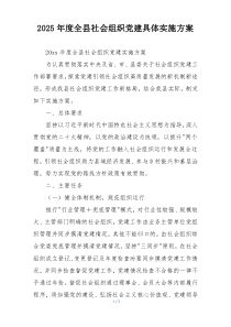 2025年度全县社会组织党建具体实施方案