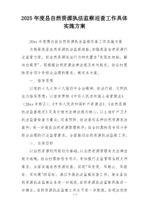 2025年度县自然资源执法监察巡查工作具体实施方案