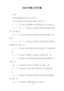2025年度工作方案