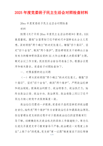 2025年度党委班子民主生活会对照检查材料