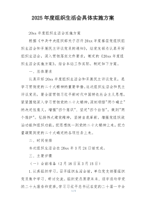 2025年度组织生活会具体实施方案