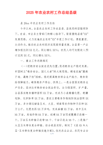 2025年农业农村工作总结县级