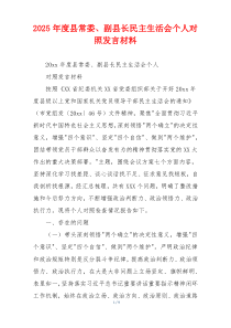 2025年度县常委、副县长民主生活会个人对照发言材料