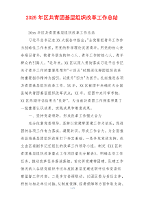 2025年区共青团基层组织改革工作总结