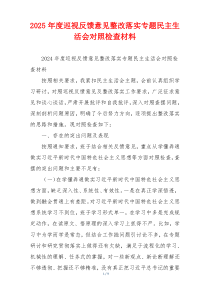 2025年度巡视反馈意见整改落实专题民主生活会对照检查材料