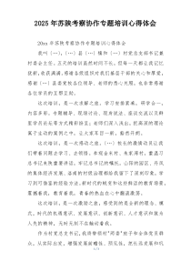 2025年苏陕考察协作专题培训心得体会