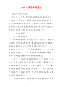 2025年城管分局总结
