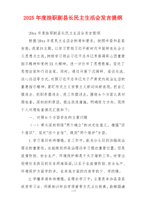 2025年度挂职副县长民主生活会发言提纲